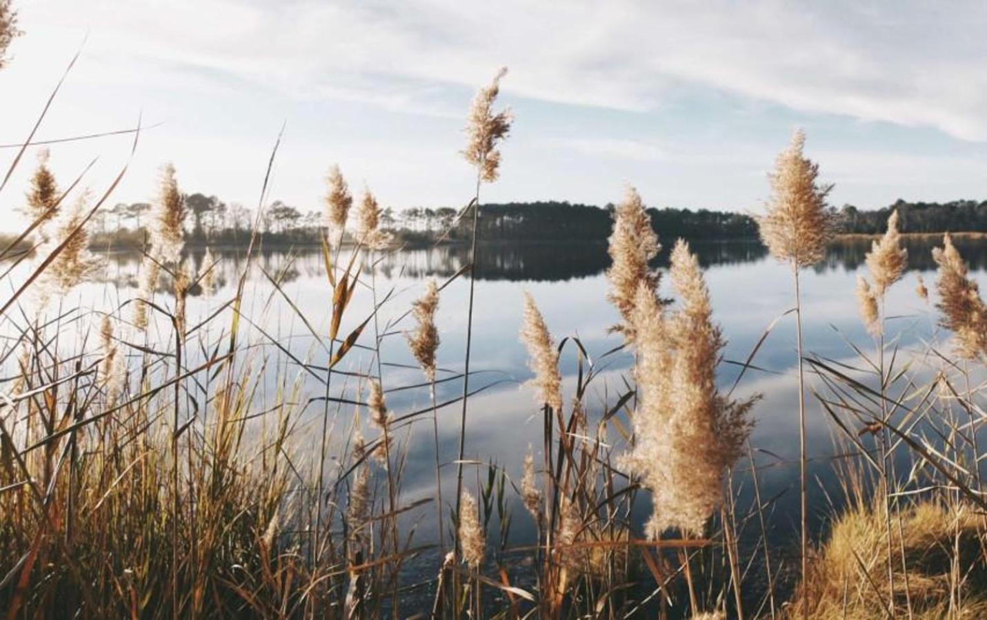 1 House Between Two Lakes วิลนีอุส ภายนอก รูปภาพ